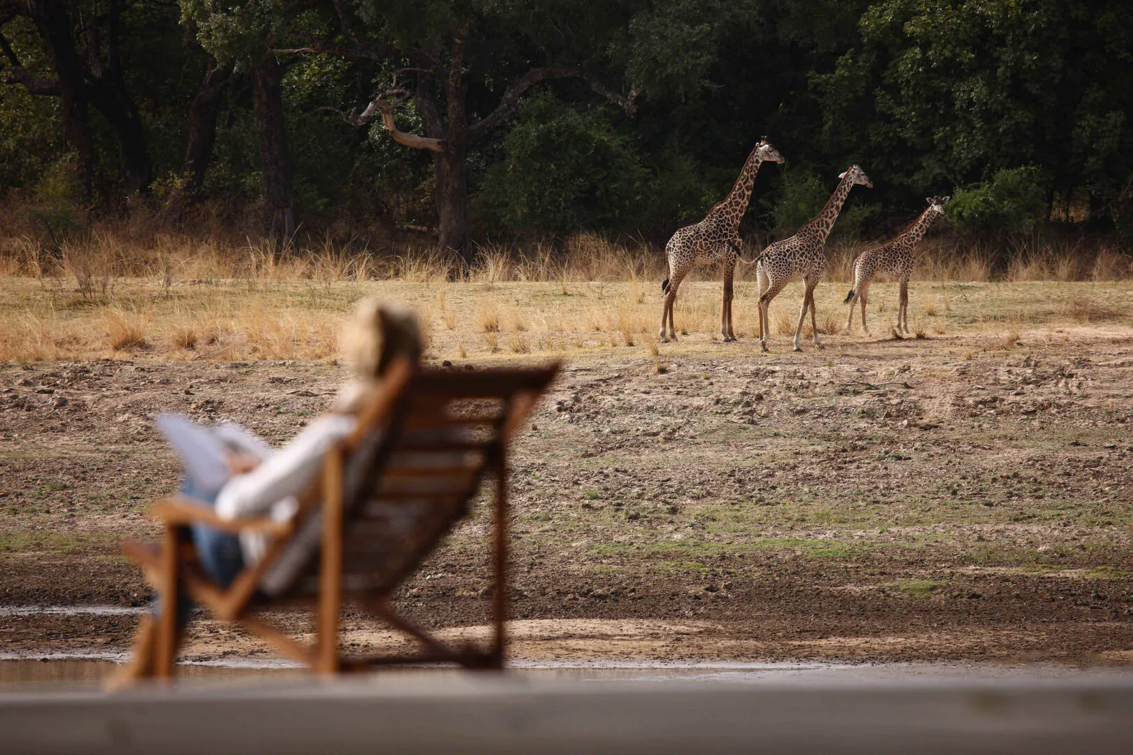 Zambie & Malawi : trois visages de l’Afrique, entre chutes, savane et lac