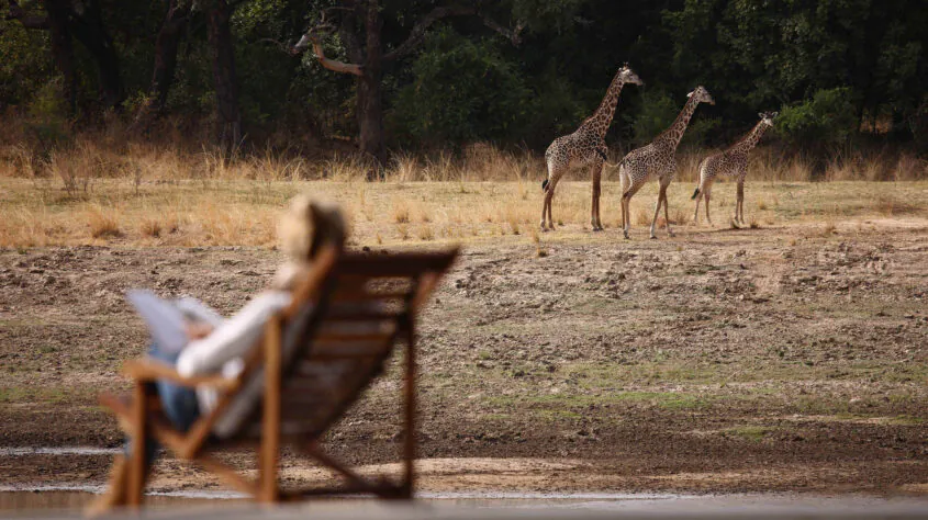 Afrique