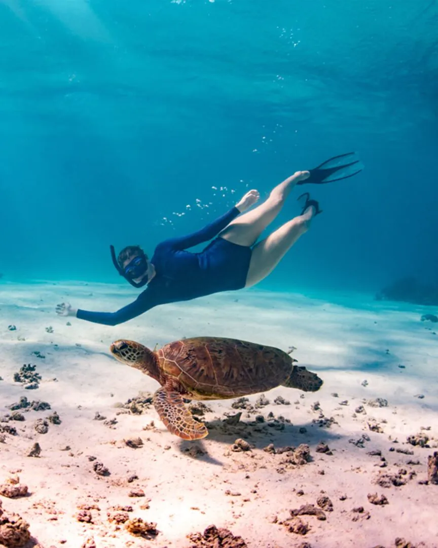 Ningaloo : Le récif depuis la plage