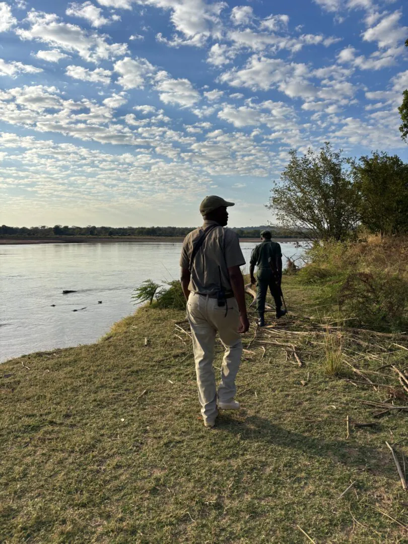 South Luangwa - La brousse à hauteur d’homme 