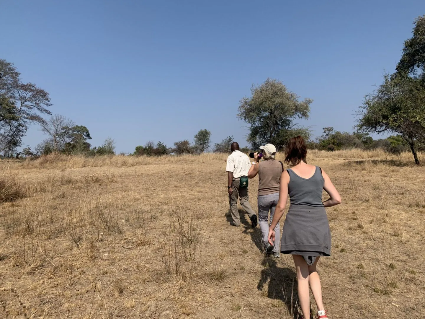 Safari à pied : immersion au rythme de la brousse
