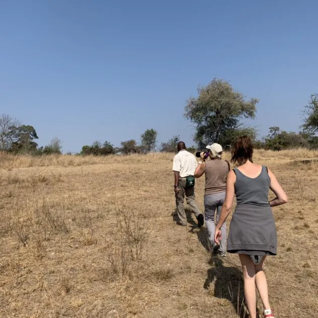 Zambie & Malawi : trois visages de l’Afrique, entre chutes, savane et lac