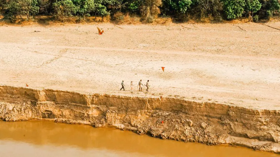 Safari à pied en Zambie : vivre la brousse autrement