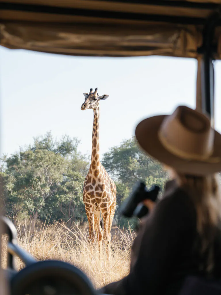 Safari à pied en Zambie : vivre la brousse autrement