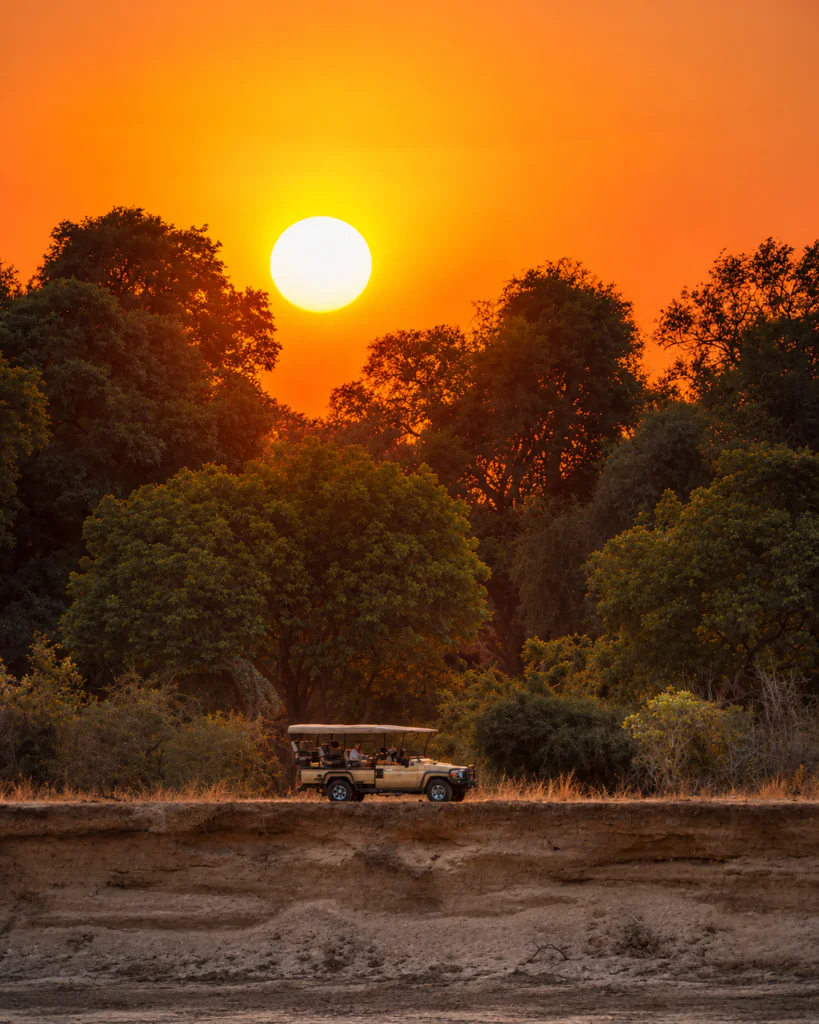 Quand partir en Zambie ? Meilleure période pour un safari