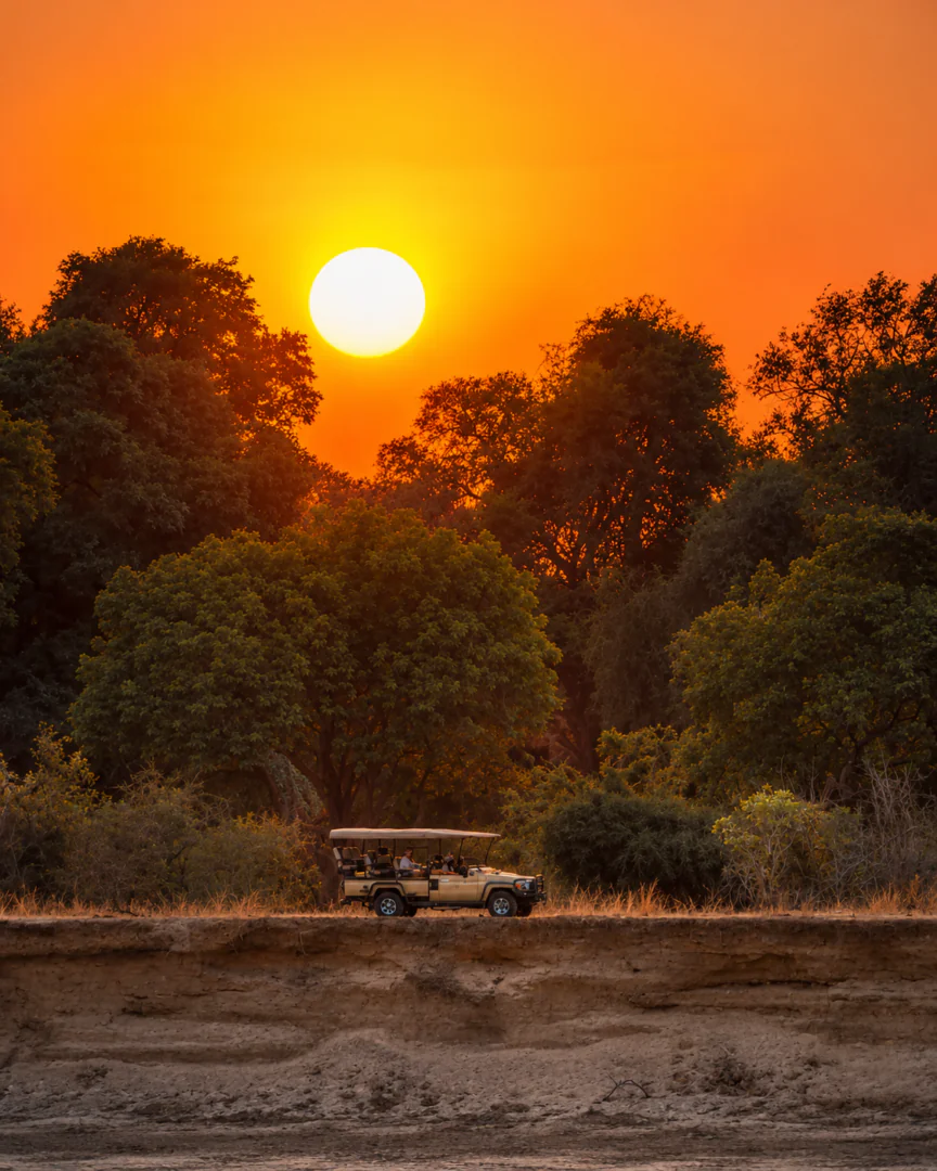 South Luangwa - Du jour à la nuit  