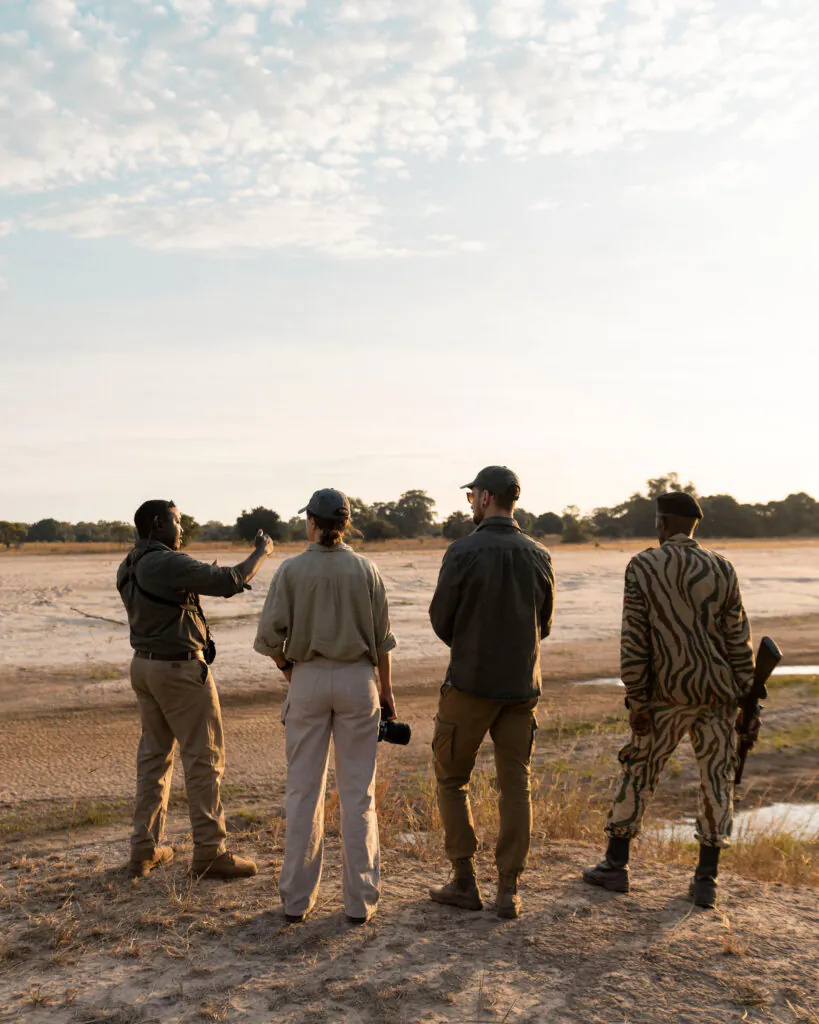 Safari à pied en Zambie : vivre la brousse autrement