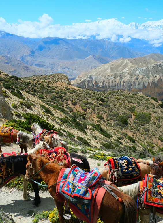 \Népal (katmandou valley & Mustang) julie