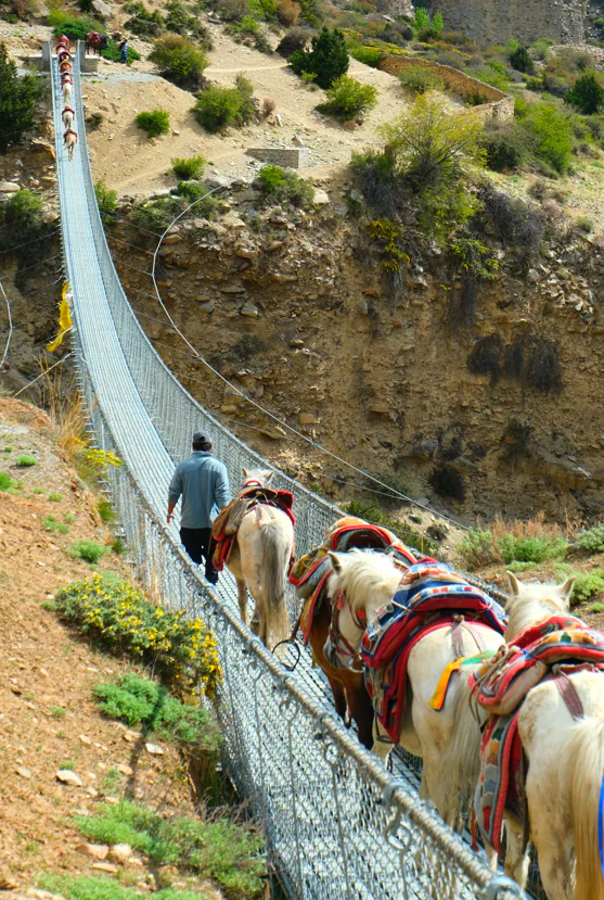 Voyage de Julie Népal (katmandou valley & Mustang) julie