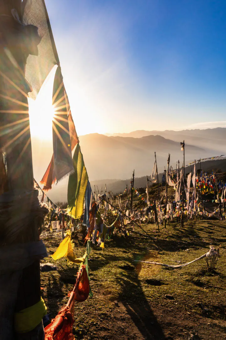 Punakha - Paro - Par le col de Chele La 