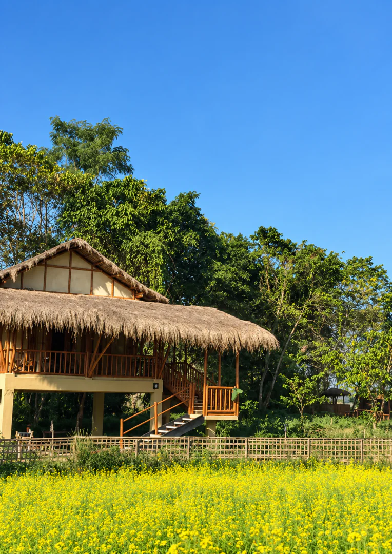Calcutta - Guwahati - Kaziranga - Aux portes de l’Assam 