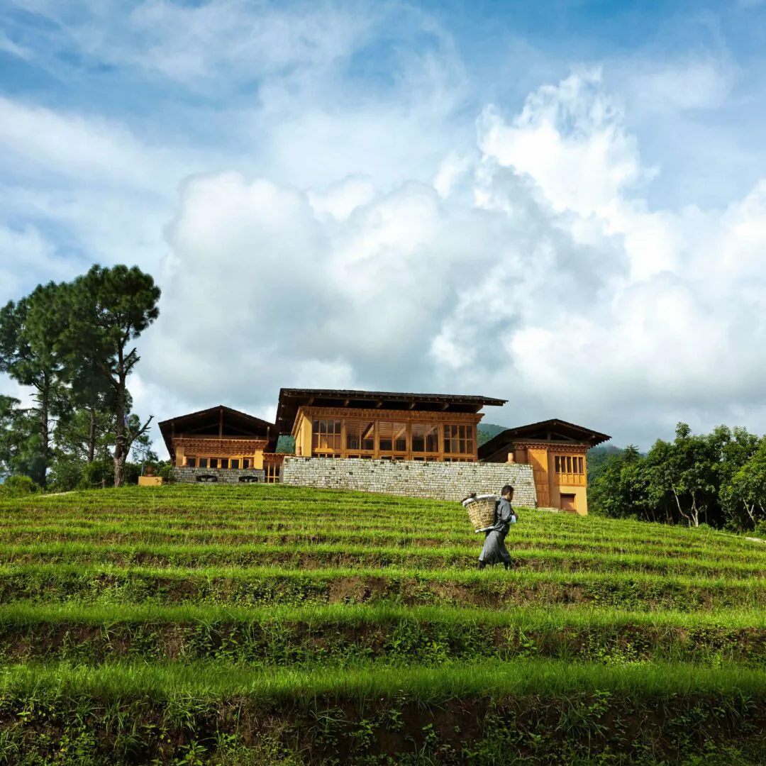 Labana - Thimphu - Punakha - Du col à la vallée 