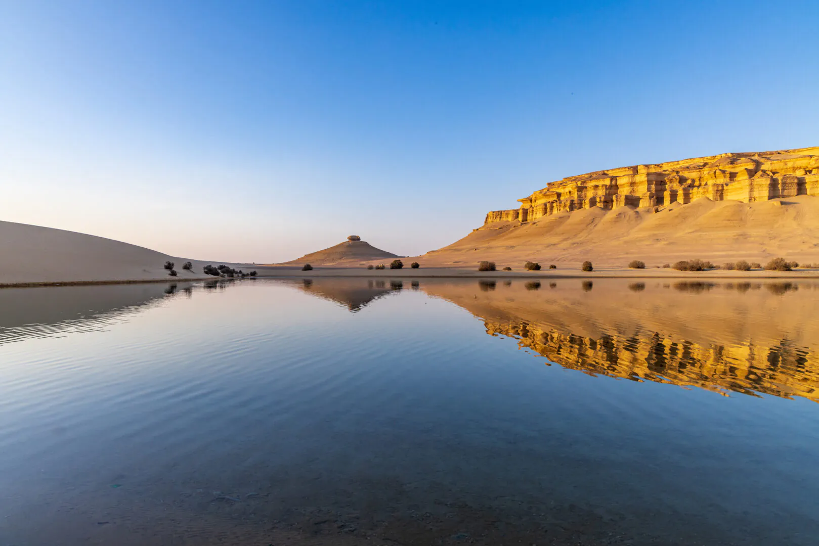 Oasis du Fayoum, fossiles et potiers