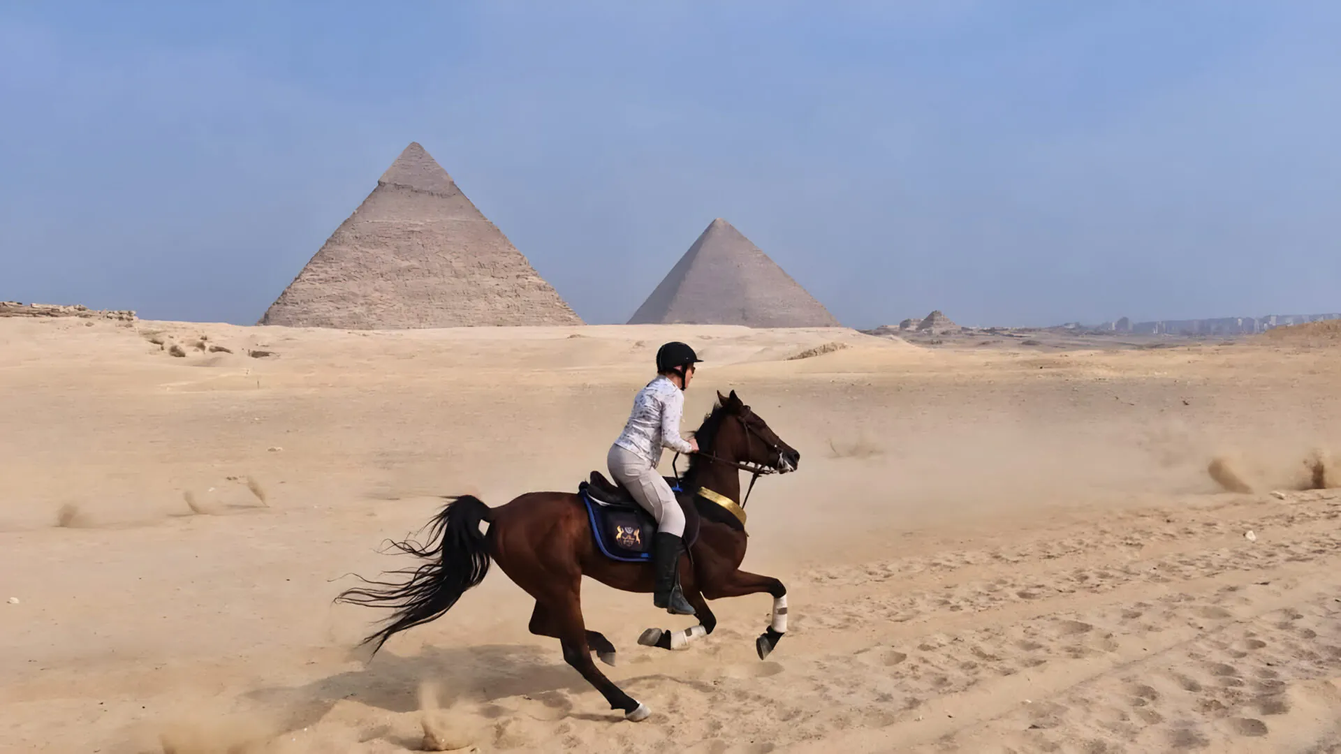 Au galop face aux pyramides